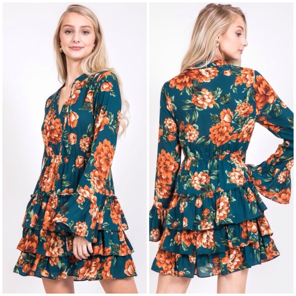 NWT gorgeous long sleeve dress with ruffle skirt